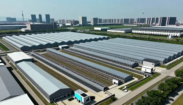 数据安全在SEO优化中的核心作用与未来趋势